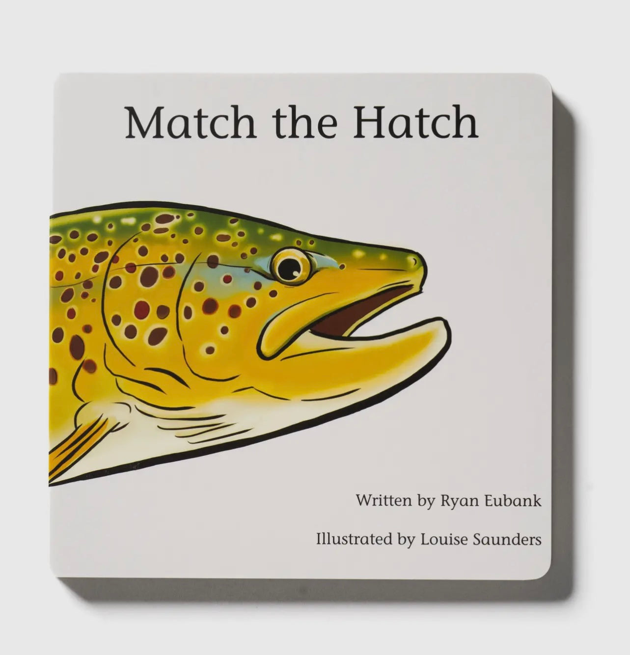 Match the Hatch Children's Book